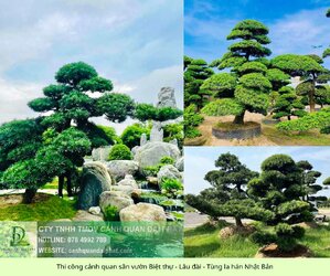 thi công cảnh quan sân vườn biệt thự - lâu đài 3.jpg