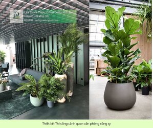 thiết kế thi công công trình thương mại 5.jpg