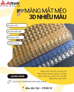 Màng mắt mèo.jpg