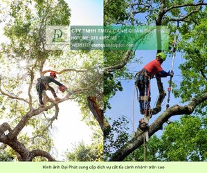 chăm sóc cây xanh kcn công nghệ cao TPHCM 090126 4.jpg