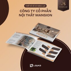 thiet ke ho so nang luc chuyen nghiep tai layka.jpg