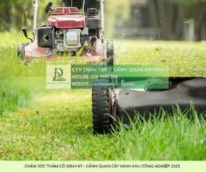 cham soc canh quan kcn loc an binh son 3.jpg cham soc canh quan kcn loc an binh son 3.jpg