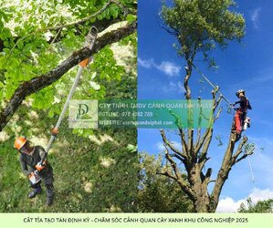 cham soc canh quan kcn loc an binh son 5.jpg cham soc canh quan kcn loc an binh son 5.jpg