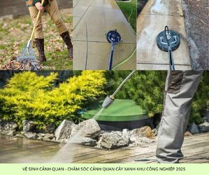 cham soc canh quan kcn loc an binh son 6.jpg cham soc canh quan kcn loc an binh son 6.jpg
