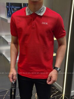 ao-polo-dior-pl71-04.jpg