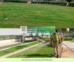 Bảo dưỡng cảnh quan Khu Công nghiệp Đồng Nai 6.jpg