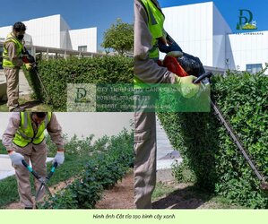 Bảo dưỡng cảnh quan Khu Công nghiệp Đồng Nai 8.jpg