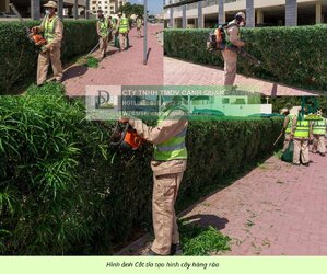 Bảo dưỡng cảnh quan Khu Công nghiệp Đồng Nai 7.jpg