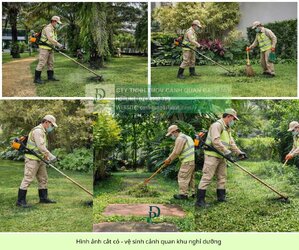 cắt cỏ dọn dẹp vệ sinh cảnh quan 5.jpg