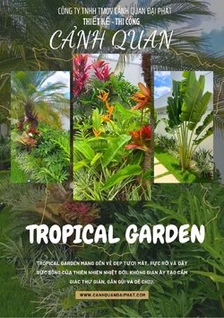 thiết kế thi công cảnh quan sân vườn 290126 0.jpg