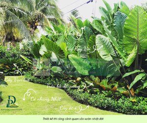 thiết kế thi công cảnh quan sân vườn 290126 1.jpg