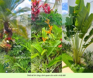 thiết kế thi công cảnh quan sân vườn 290126 2.jpg