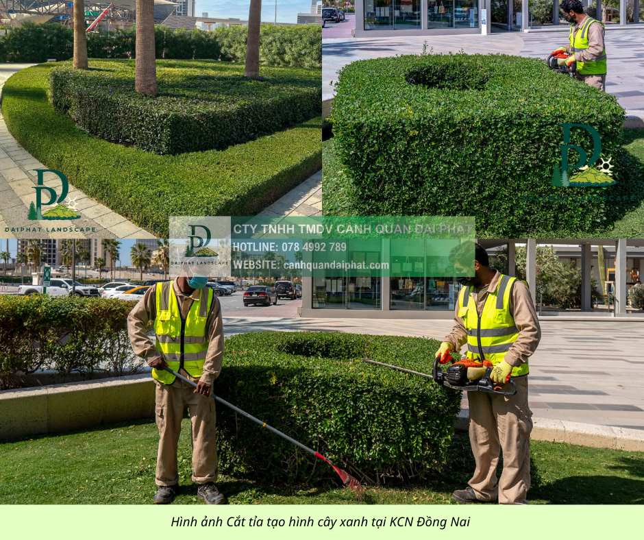 Bảo dưỡng cảnh quan Khu Công nghiệp Đồng Nai 4.jpg