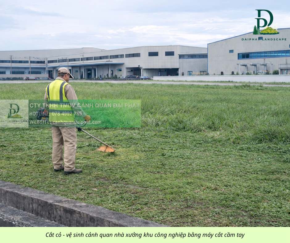 Cắt cỏ phát hoang công ty nhà xưởng 080226 1.jpg