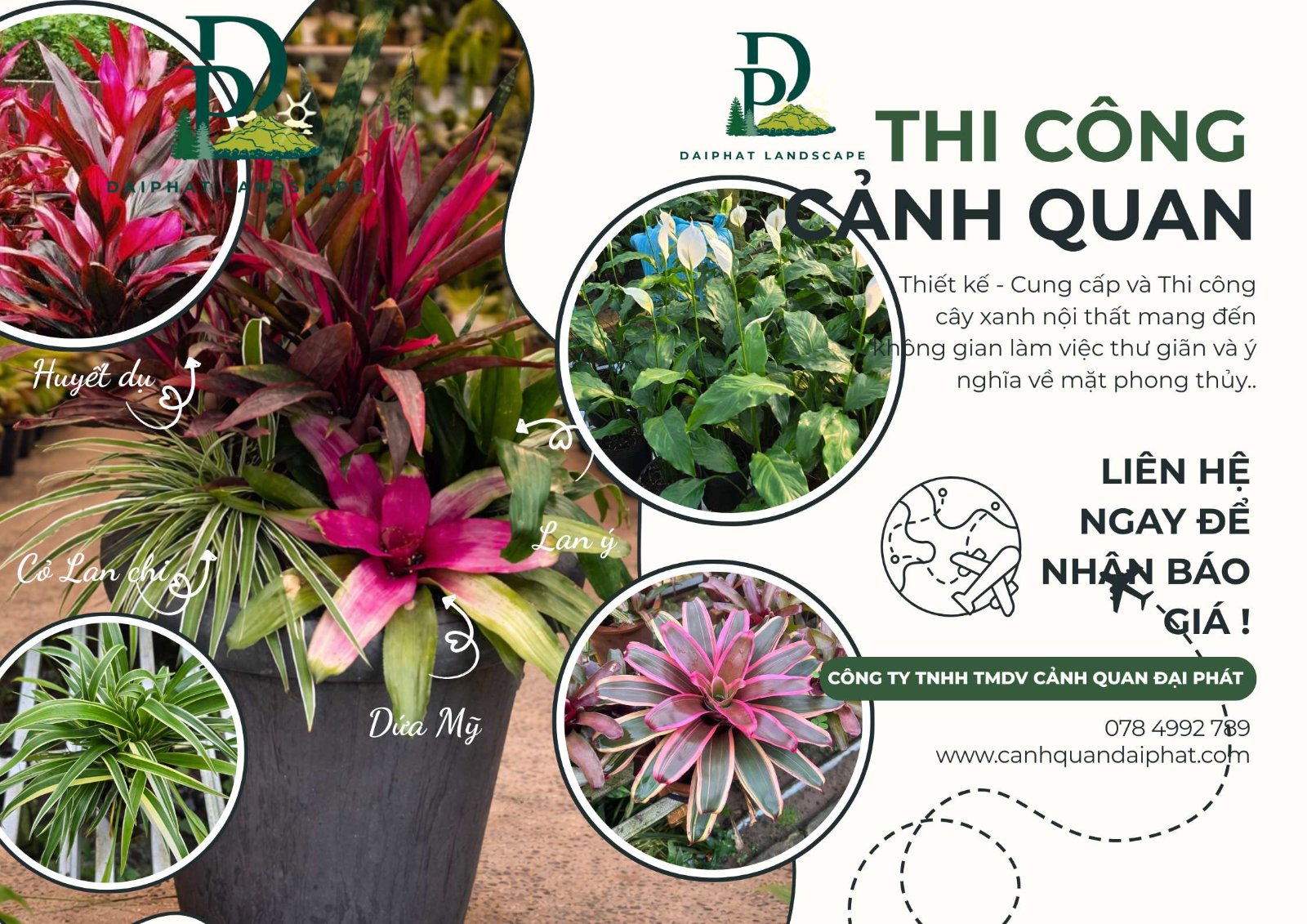 Thiết kế Thi công cây xanh văn phòng quán cafe 120226 2.jpg