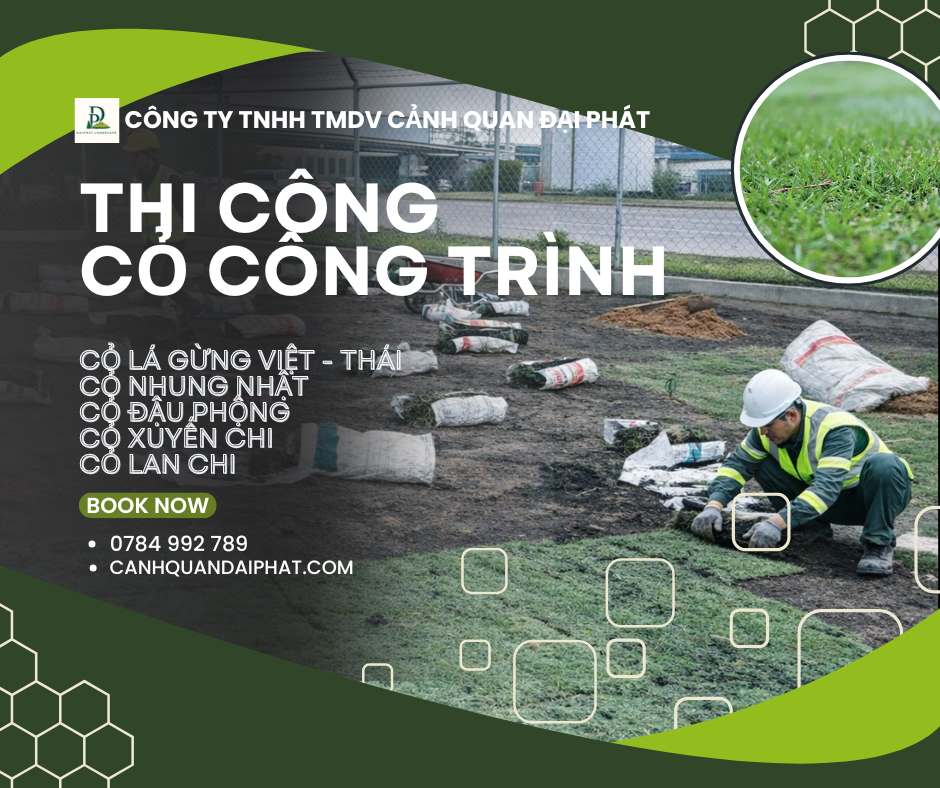thi công cỏ công trình 230226 3.jpg