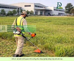 Cắt cỏ phát hoang công ty nhà xưởng 080226 2.jpg