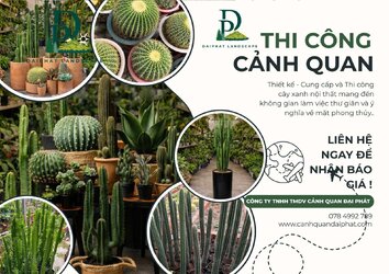 Thiết kế Thi công cây xanh văn phòng quán cafe 120226 3.jpg