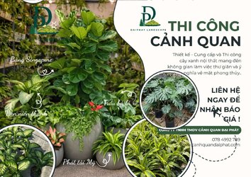 Thiết kế Thi công cây xanh văn phòng quán cafe 120226 4.jpg