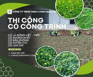 thi công cỏ công trình 230226 2.jpg
