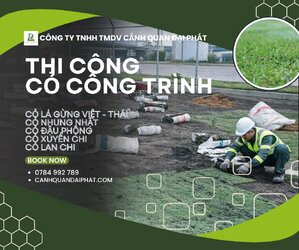 thi công cỏ công trình 230226 3.jpg