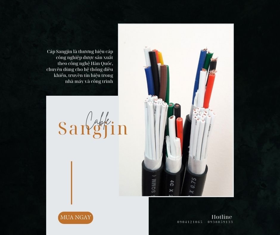 Casual Outfit (2).jpg