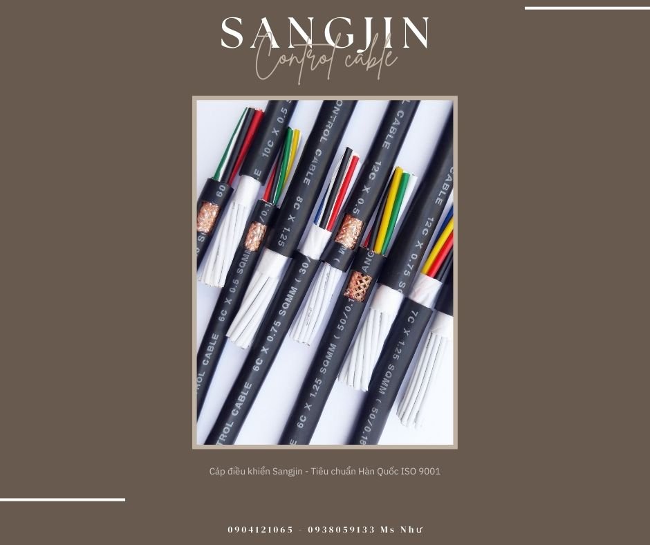 Casual Outfit (1).jpg