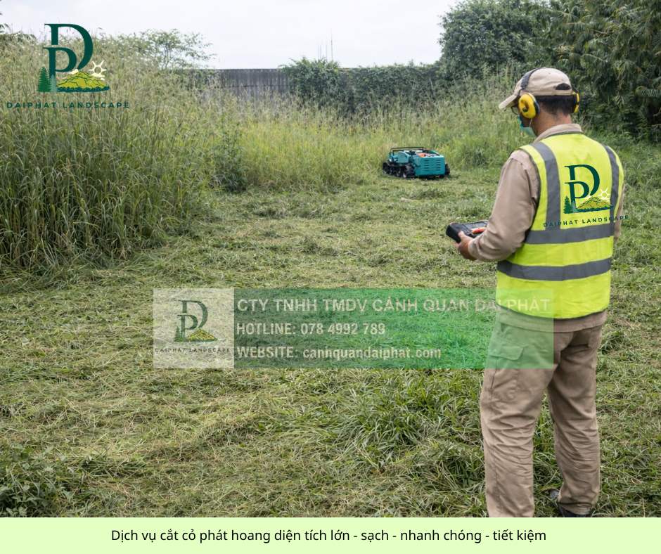 cắt cỏ phát hoang diện tích lớn - nhanh chóng - tiết kiệm 180326 1.jpg