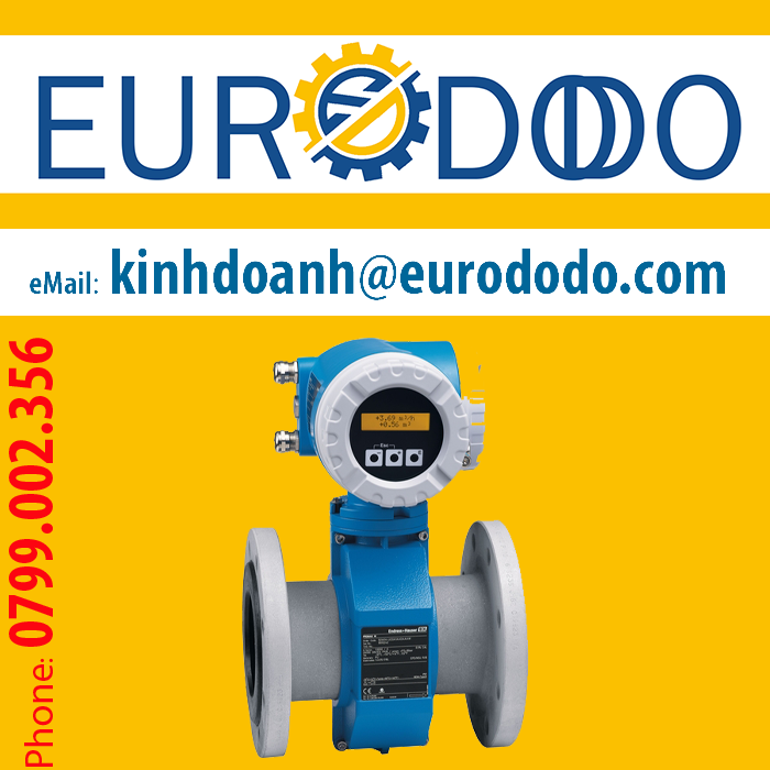 Endress + Hauser-1.png