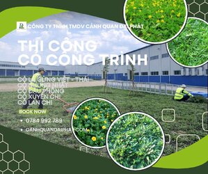 thi công cỏ công trình nhà máy nhà xưởng Đồng Nai 2.jpg