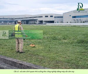 Cắt cỏ phát hoang công ty nhà xưởng 080226 1.jpg