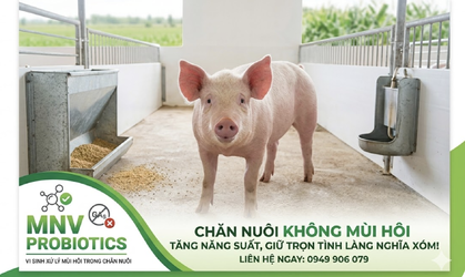 Screenshot 2026-03-12 at 09.28.36.png