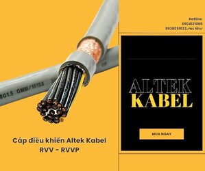 Casual Outfit (6).jpg