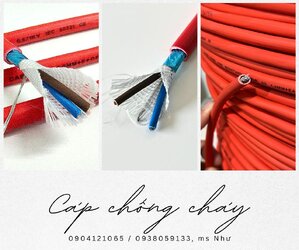 Casual Outfit (4).jpg