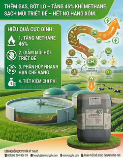 Gemini_Generated_Image_435qsy435qsy435q (1).png