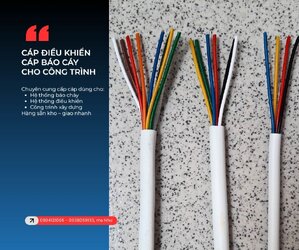 Casual Outfit (19).jpg