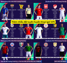 National Teams VIP.png