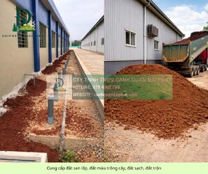 Cung cấp đất san lấp, đất màu trồng cây, đất sạch, đất trộn 200326 3.jpg