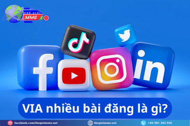VIA-nhieu-bai-dang-la-gi-1.png