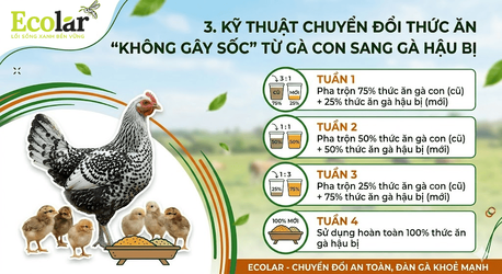thiet_ke_chua_co_ten__4___1__2dc46108f56e4b26ba37998191b36f5a.png