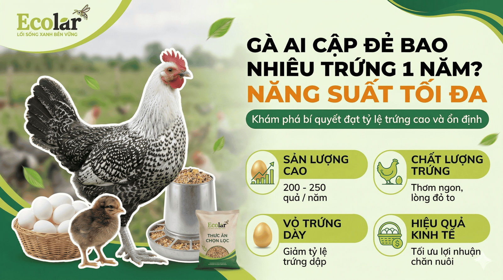 ga-ai-cap-de-bao-nhieu-trung-1-nam_1cc5239298bd402d82c14cc96f9ca31e.png