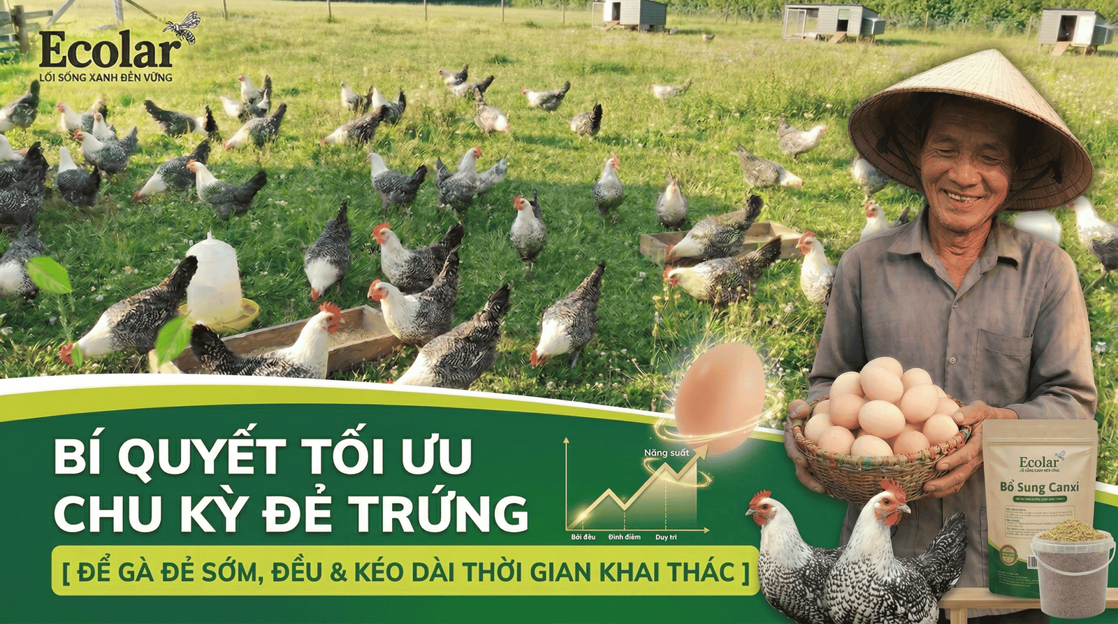 cac-yeu-to-anh-huong-den-thoi-gian-bat-dau-de-trung_171e765456774303b57d1fdaa4ea6e21.png