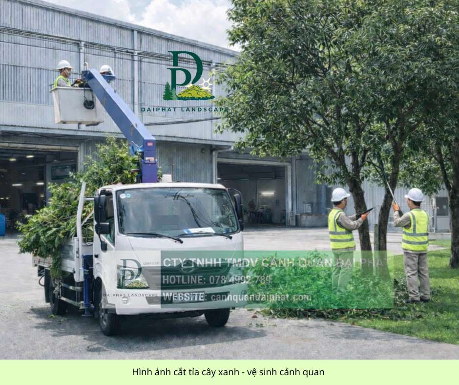 Cắt tỉa cây xanh công ty nhà xưởng 150326 4.jpg
