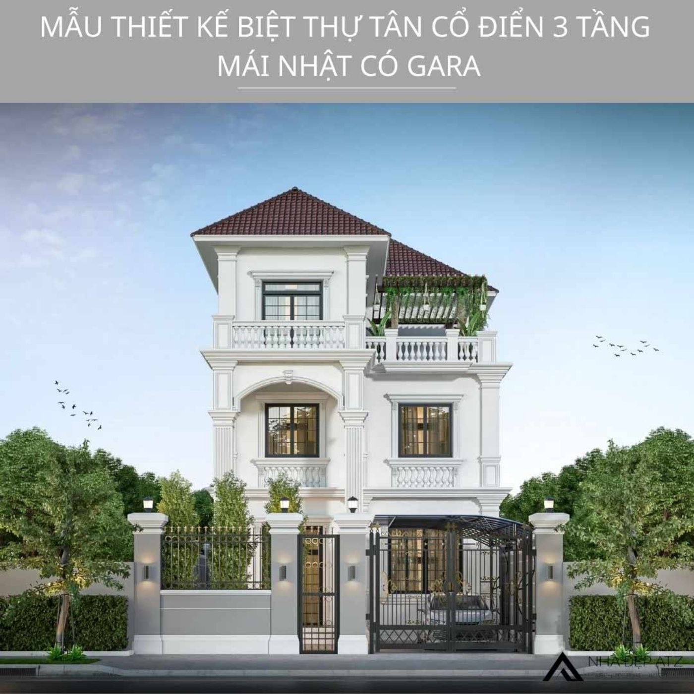 thiet ke biet thu tan co dien mai nhat.jpg