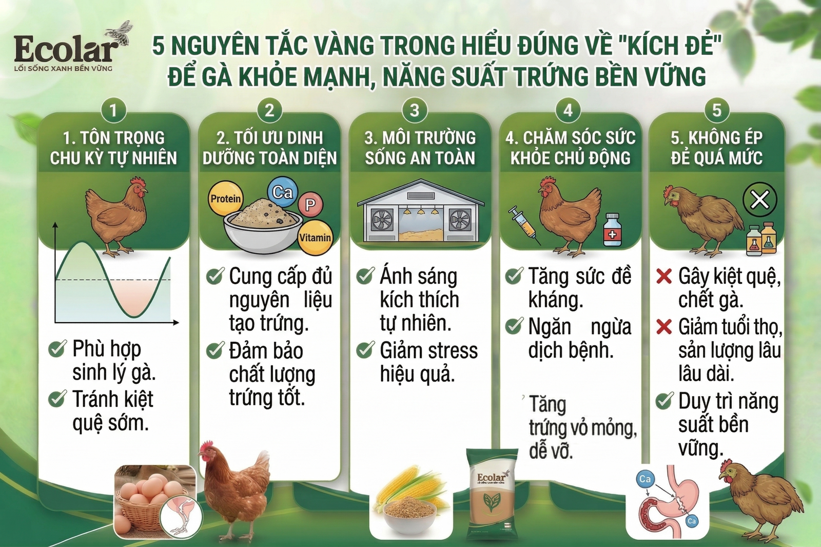 hieu-dung-ve-kich-de-toi-uu-tiem-nang_4fd18a40b77a4e529fe2ab7f34c3ad31.png