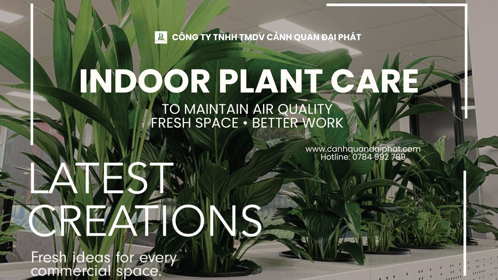 chăm sóc cây xanh văn phòng 030423 1.jpg