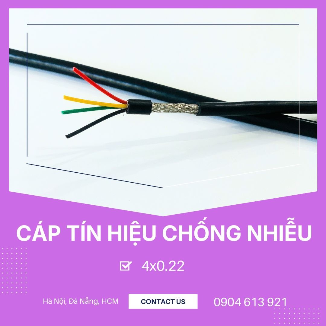 CTHCN 4X0.22.jpg