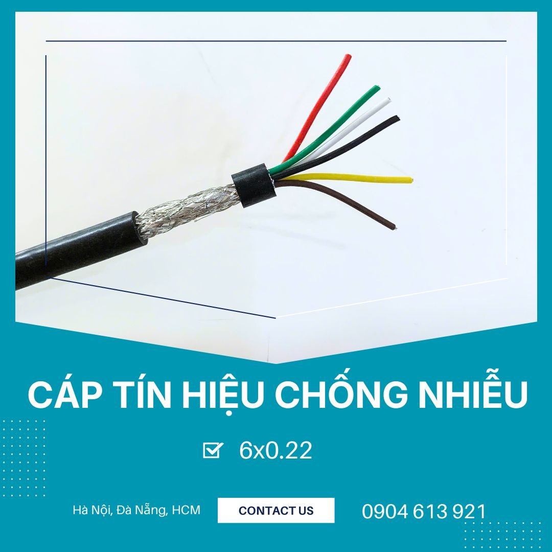 CTHCN 6X0.22.jpg