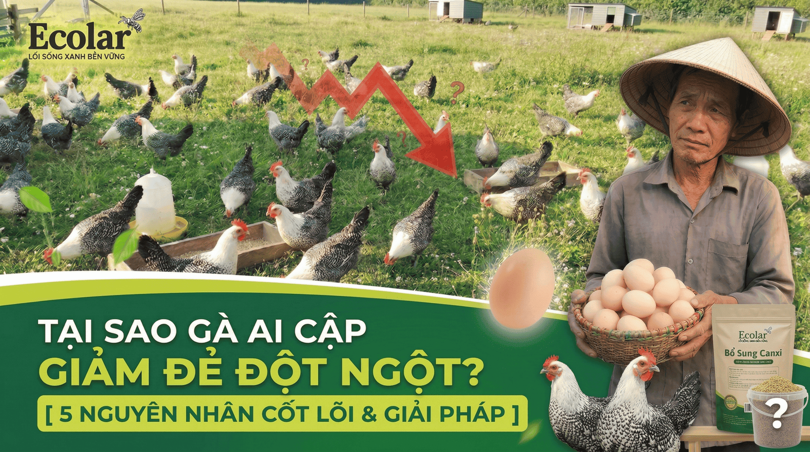 giai-ma-7-nguyen-nhan-ga-ai-cap-giam-de-dot-ngot_0e27c2439ab9426782e9ad628e594020.png