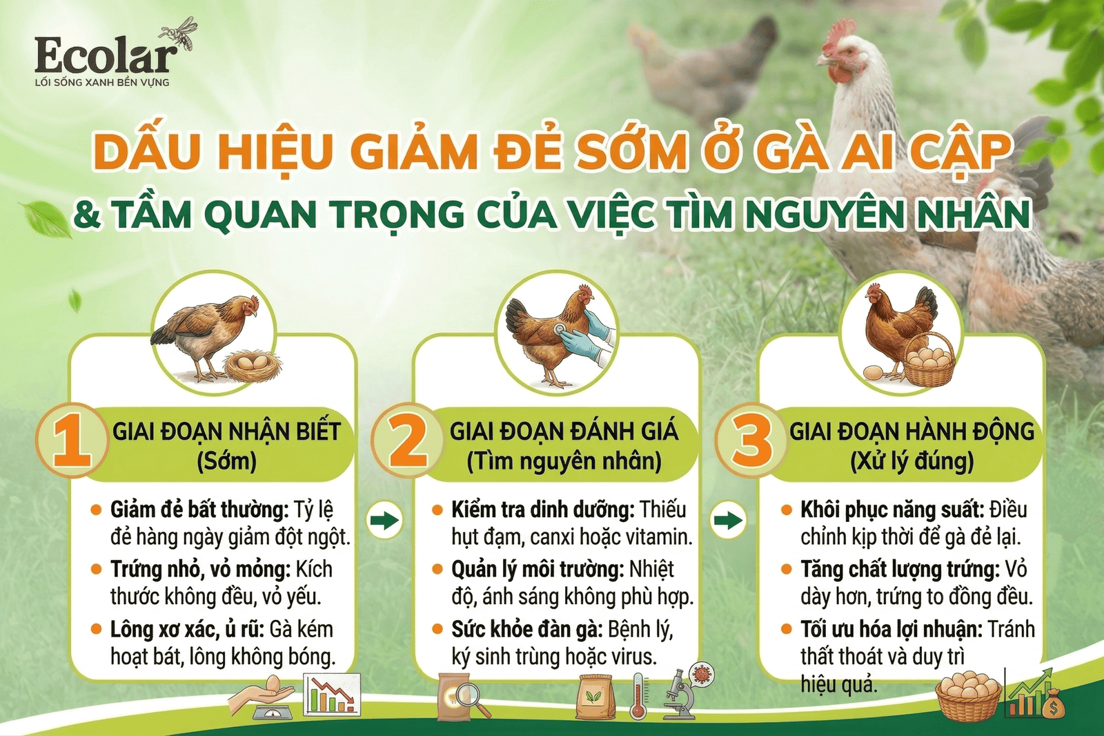 eu-nhan-biet-som-tim-dung-nguyen-nhan_f5039aa0b63343b299d90b699e0f6b9d.png